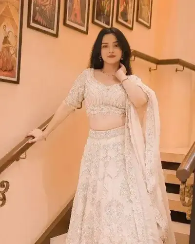 Escort Sankarapuram